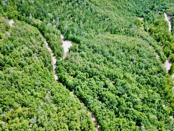 Fairview, UT 84629,22440 N ELK MEADOWS DR MDWS #O45