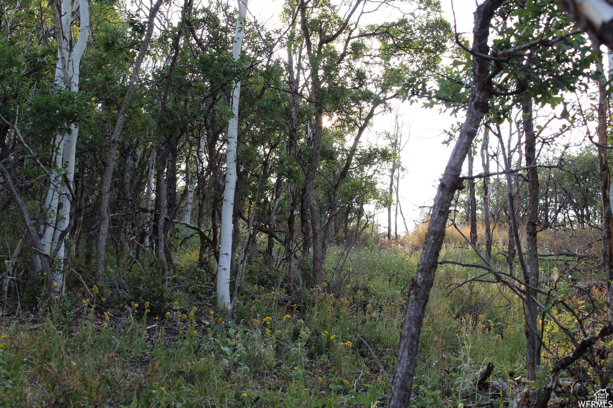 Heber City, UT 84032,1421 S BEAVER BENCH E #1421