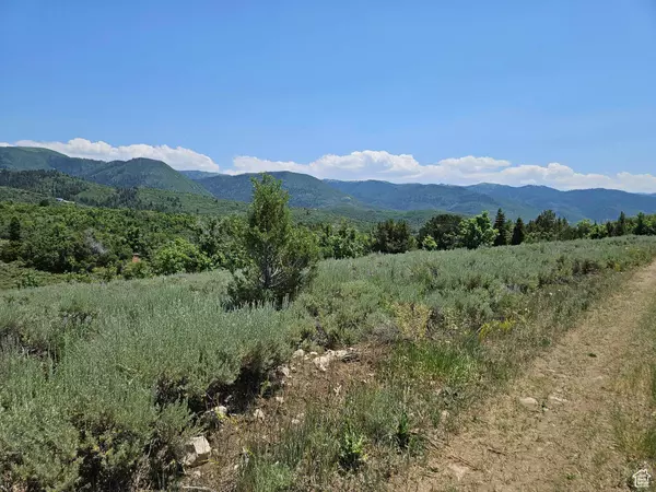 156 E WOLF HOLLOW RD S #156, Fairview, UT 84629