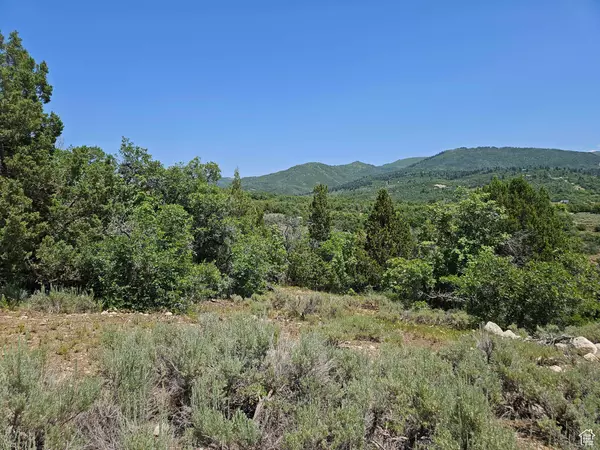 157 E WOLF HOLLOW RD S #157, Fairview, UT 84629