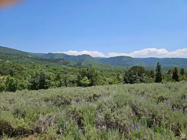 Fairview, UT 84629,157 E WOLF HOLLOW RD S #157