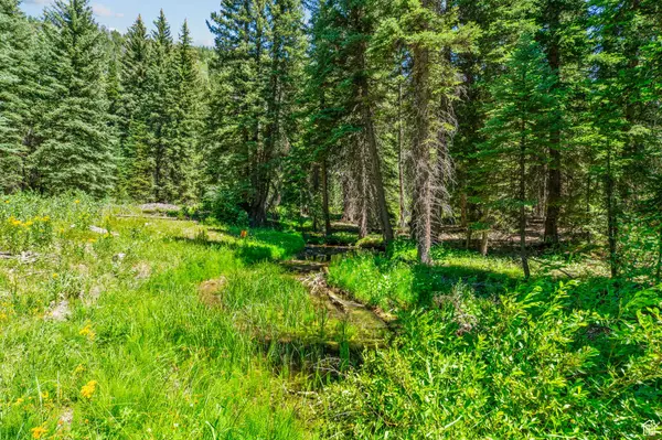 Oakley, UT 84055,9530 PINE WAY