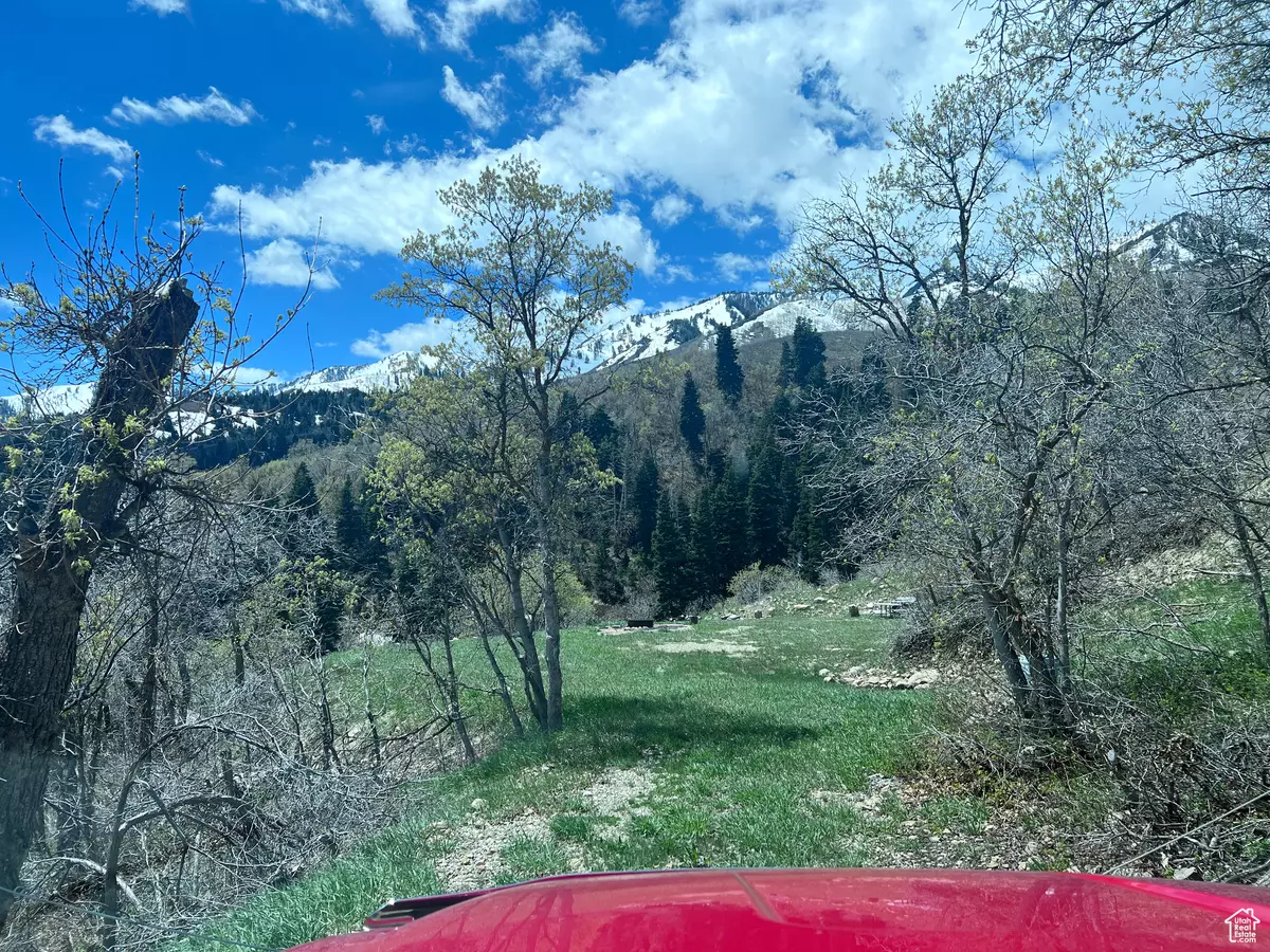 Springville, UT 84663,162 N UPPER OAKWOOD DR E