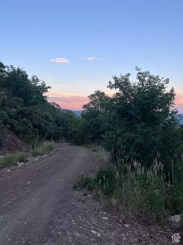 Springville, UT 84663,162 N UPPER OAKWOOD DR E