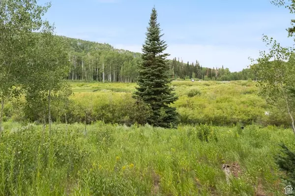 Heber City, UT 84032,4372 S BUCK WAY #2003