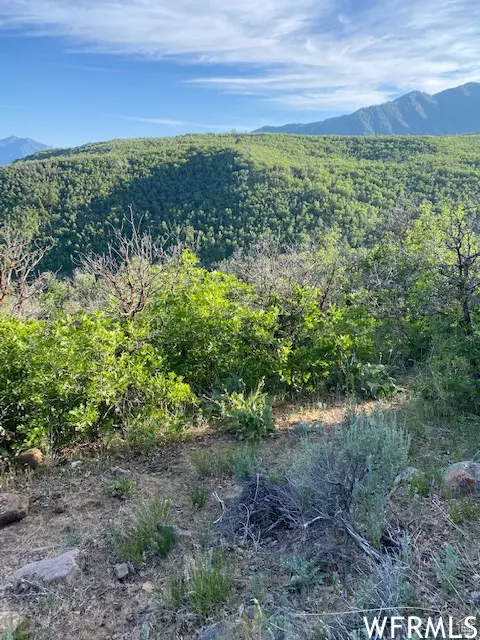 Springville, UT 84663,11 E SPRING MOUNTAIN DR #11