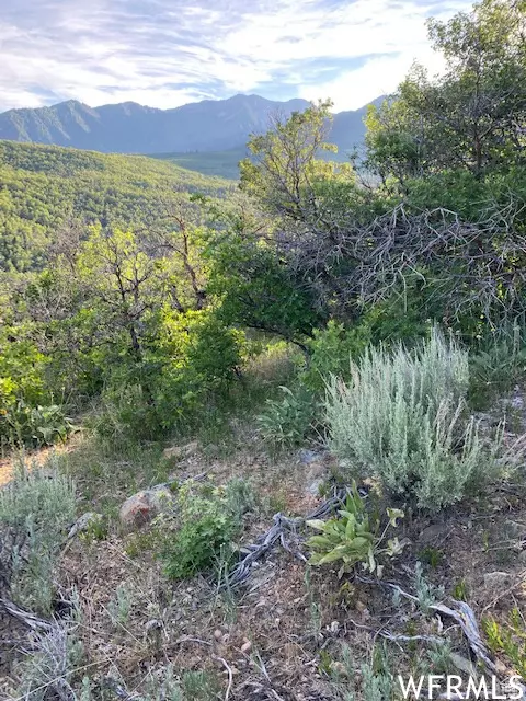 Springville, UT 84663,11 E SPRING MOUNTAIN DR #11