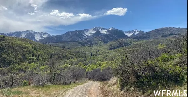 13 N HAPPY HOLLOW DR #13, Springville, UT 84663
