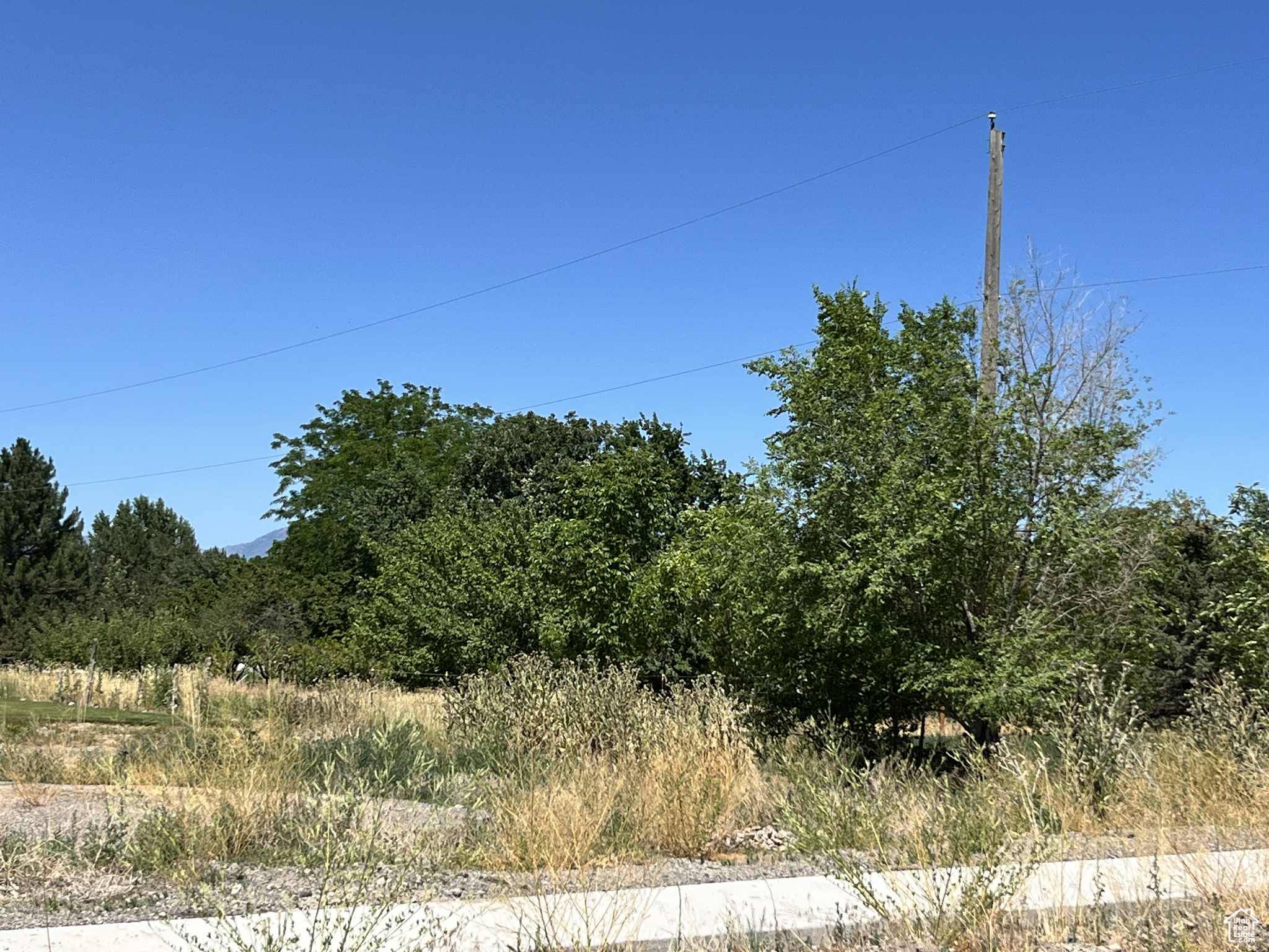 Payson, UT 84651,1797 S 1100 W #16