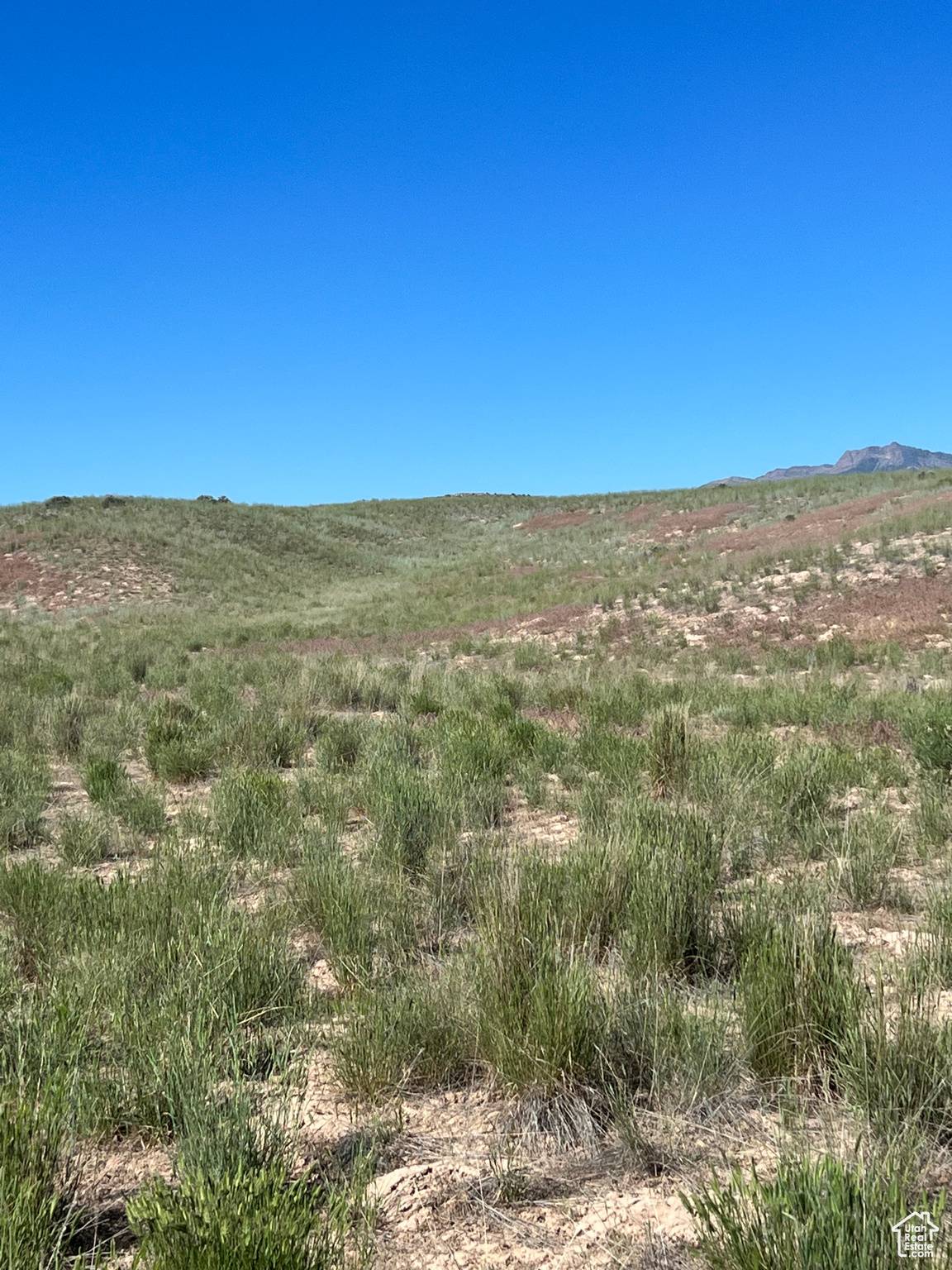 Levan, UT 84639