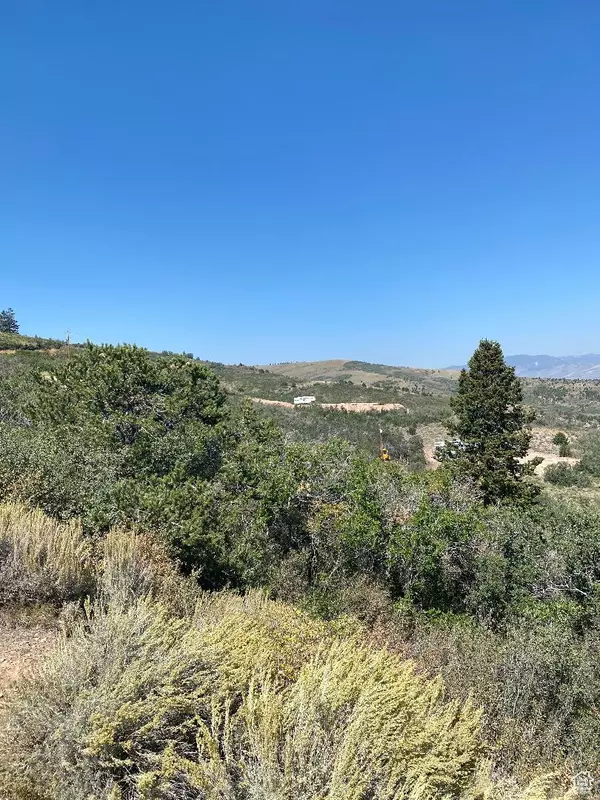 Tabiona, UT 84072,#32