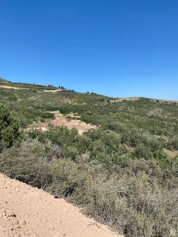 Tabiona, UT 84072,#32