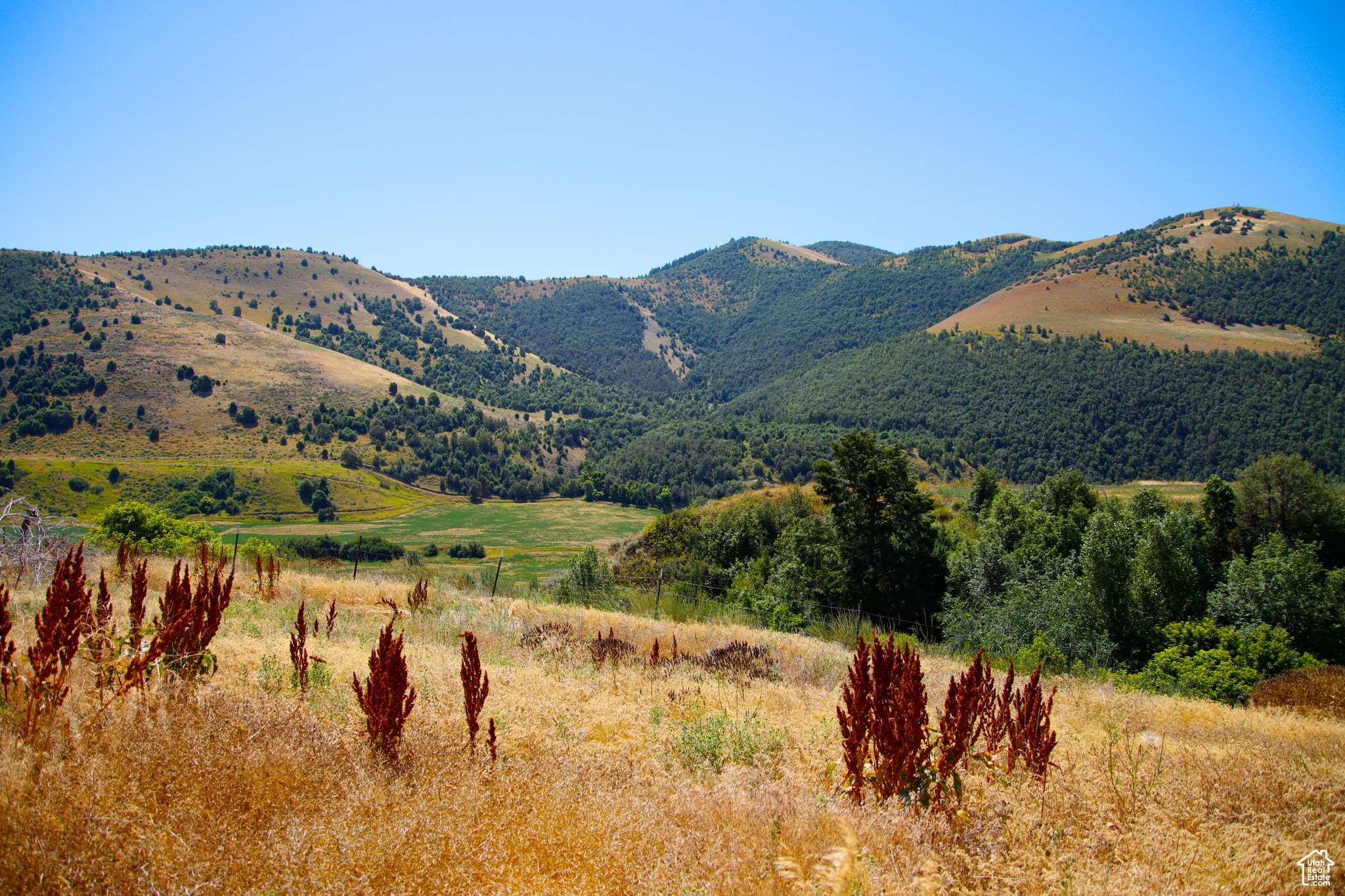 Preston, ID 83263