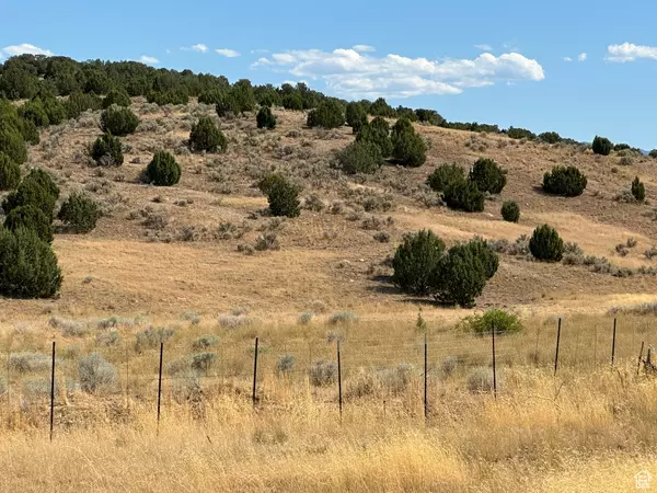 Holden, UT 84636,8300 N 3300 E