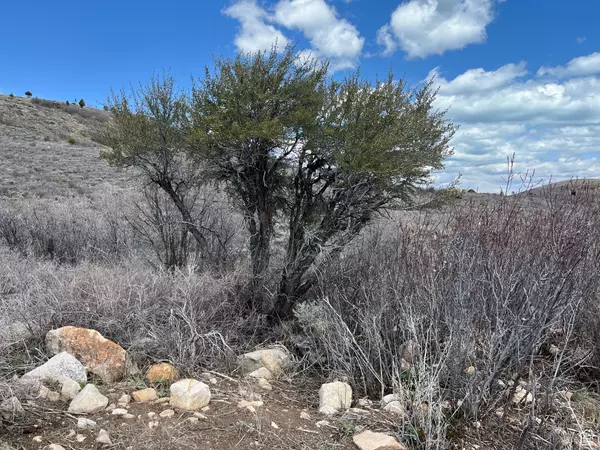 Garden City, UT 84028,1243 W CEDAR DR #25