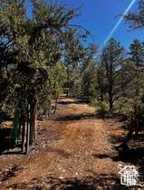 12 BLOCK C ST #8A-C12, Orderville, UT 84758