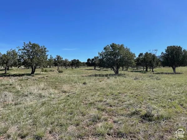 Spring City, UT 84662,6040 E 10590 N