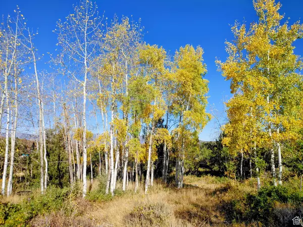 Heber City, UT 84032,1813 S GREENLEAF RD #341