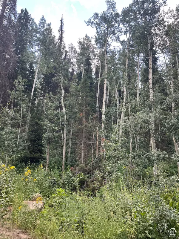 Coalville, UT 84017,2102 S UINTAH VIEW DR #61