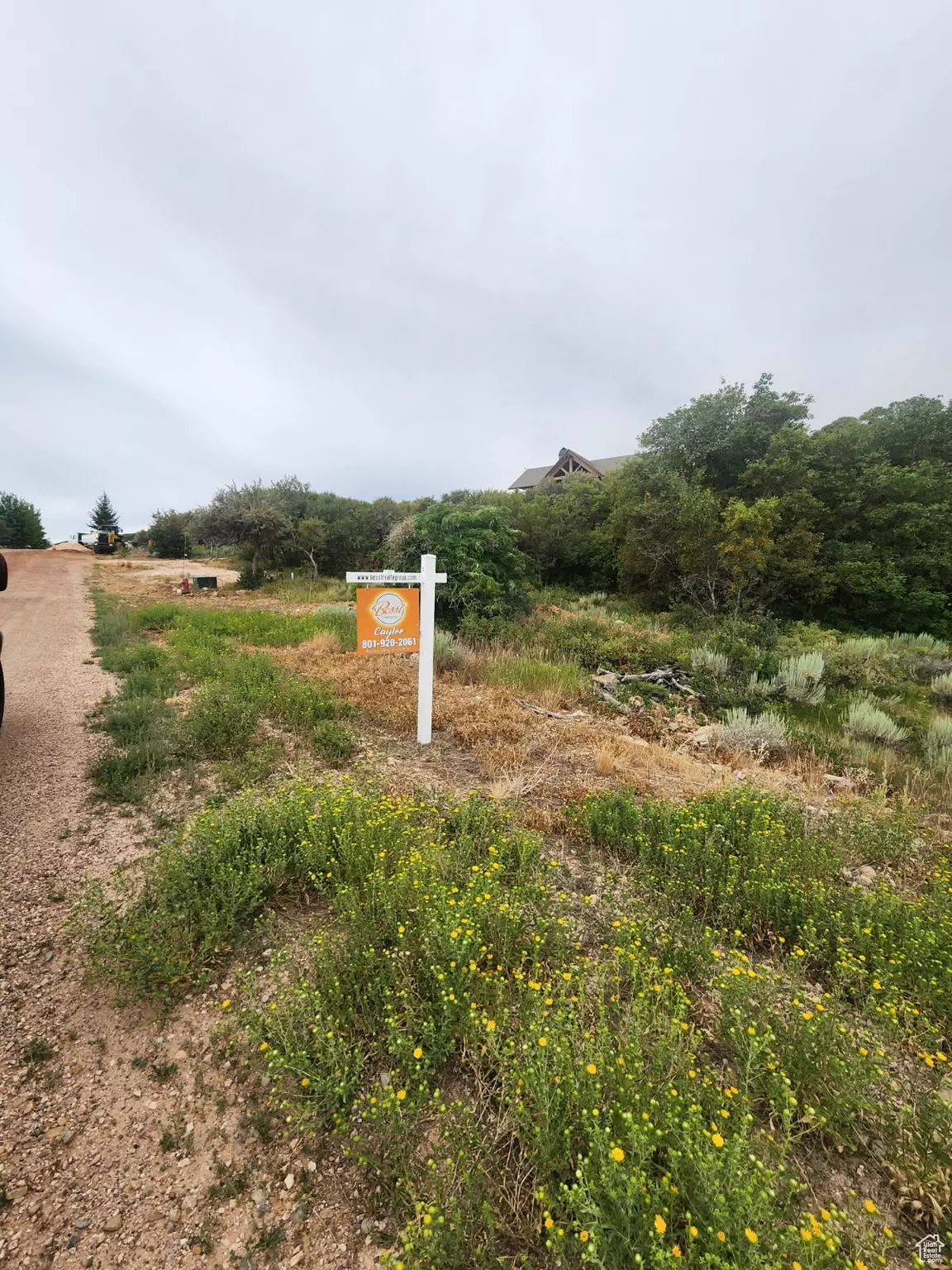 Garden City, UT 84028,977 CISCO RUN #E 31