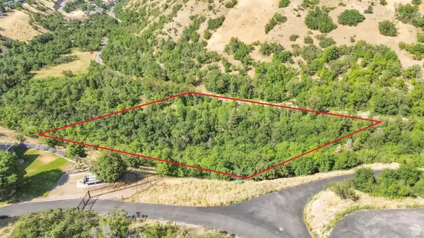 Elk Ridge, UT 84651