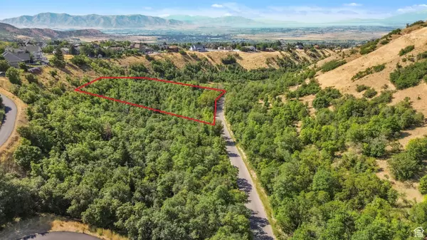 Elk Ridge, UT 84651