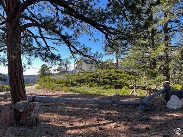 Alton, UT 84710,186 TRAILS END DR #186