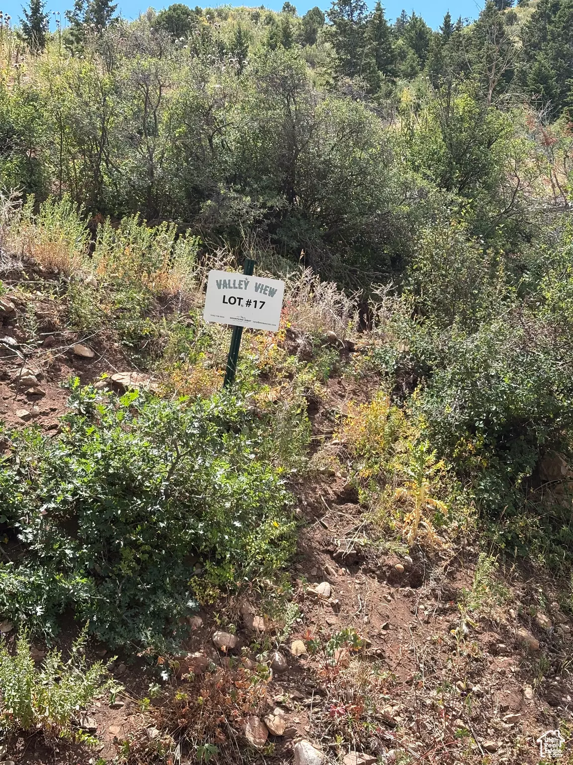 Tabiona, UT 84072,#17
