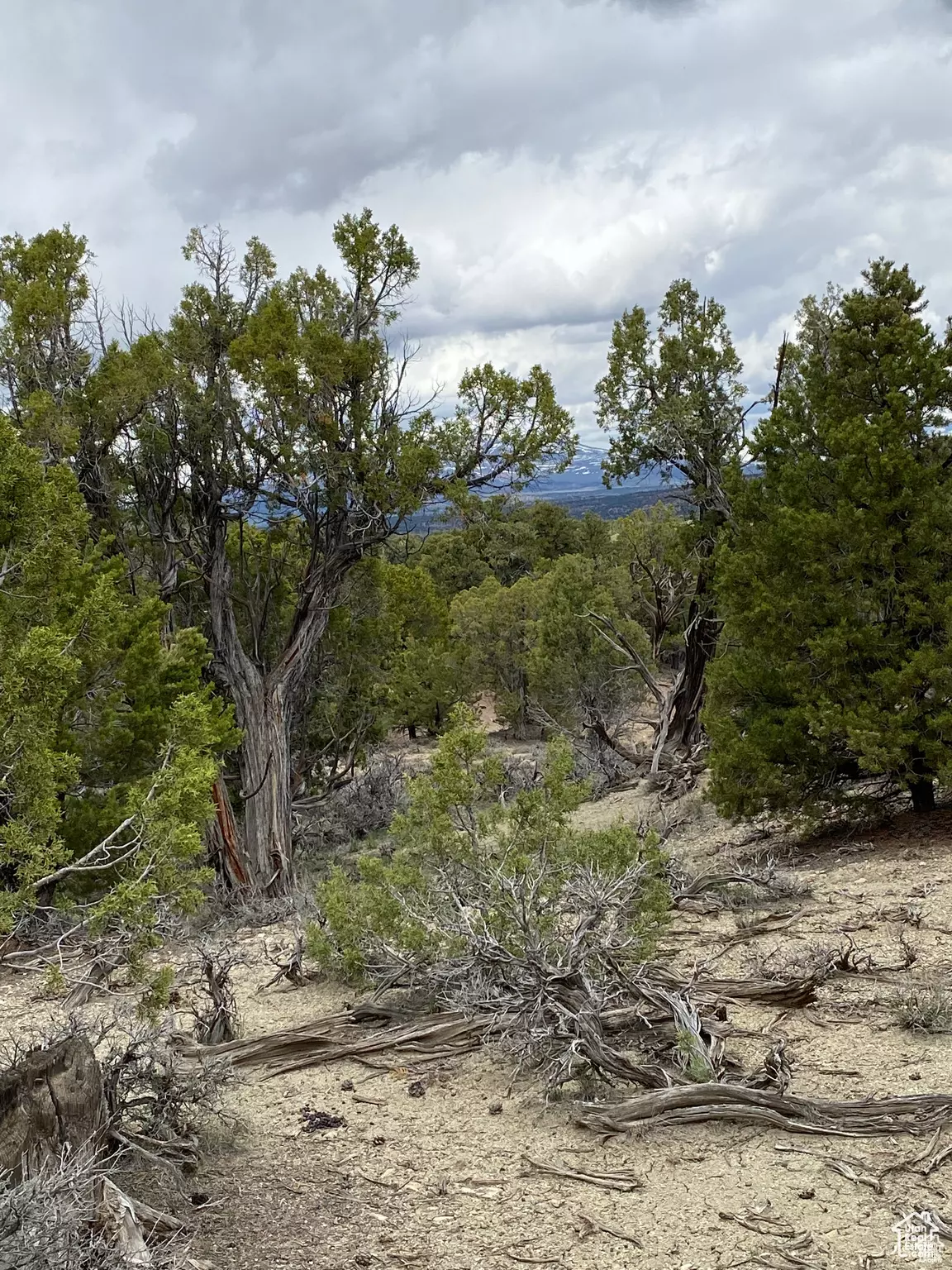 Fruitland, UT 84027