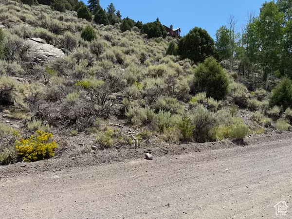 Panguitch, UT 84759,352 N MEADOWLARK DR