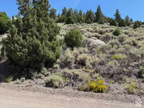 Panguitch, UT 84759,352 N MEADOWLARK DR