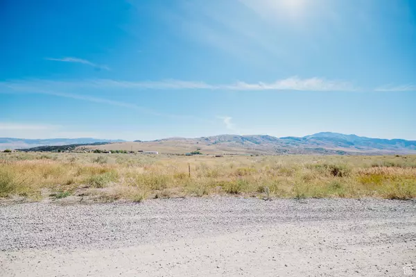 Malad City, ID 83252,10775 ID IVORY TOOTH TRL #19