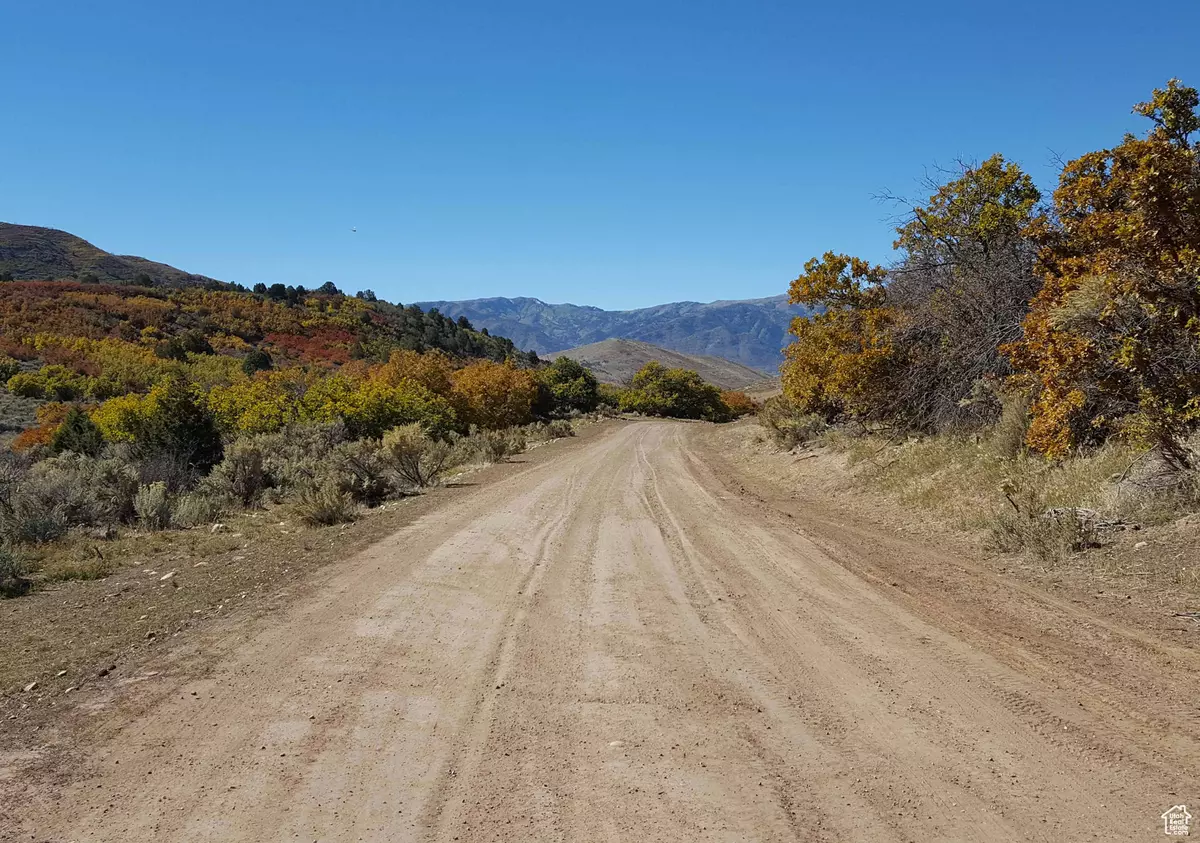 Indianola, UT 84629,54 N MOUNT BALDY LOOP W #54