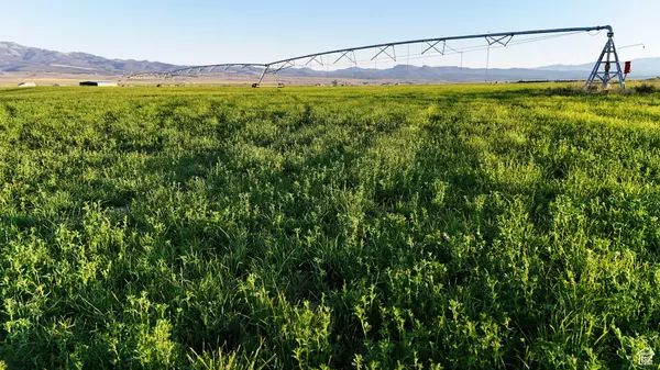 Panguitch, UT 84759,3168 N 1600 E #3