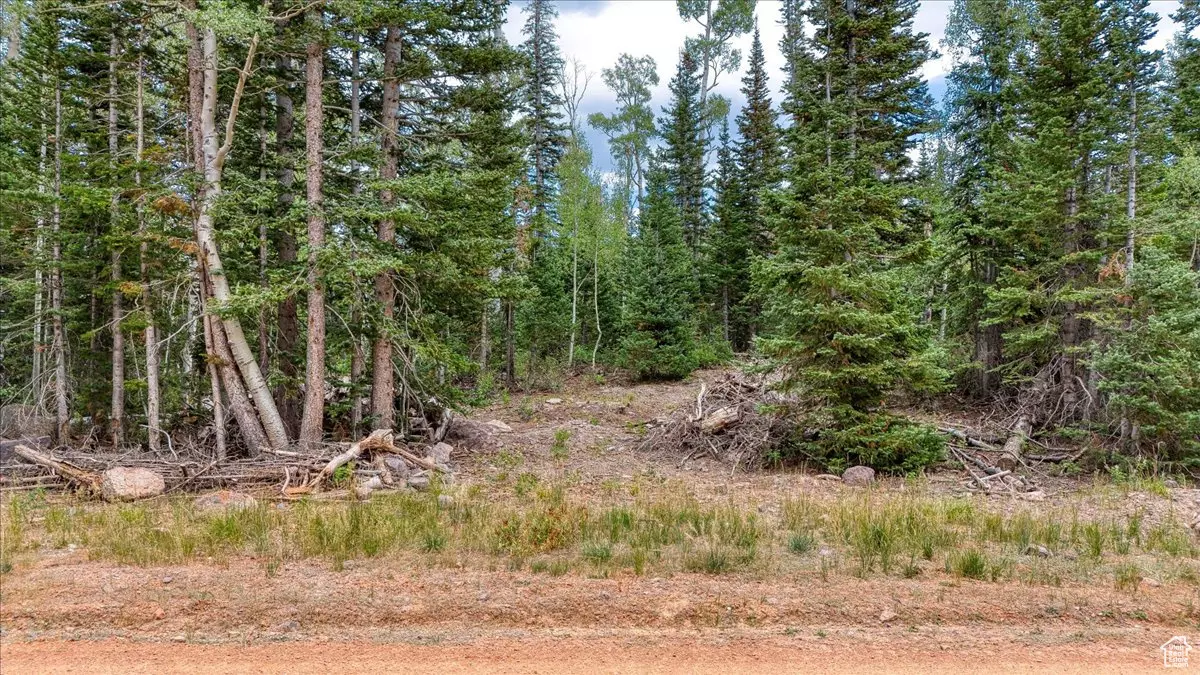 Brian Head, UT 84719,384 N 275 E #61
