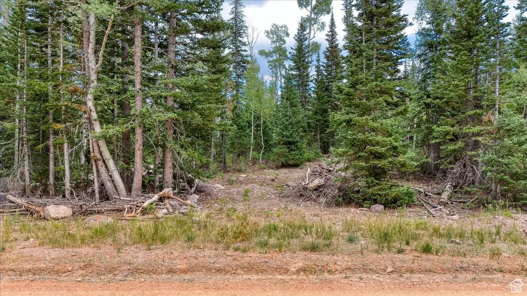 384 N 275 E #61, Brian Head, UT 84719