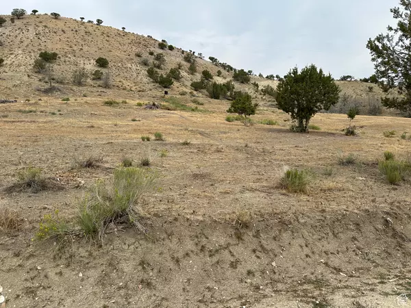 Mt Pleasant, UT 84647,19415 N 7150 E #2