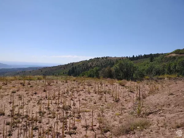 Tabiona, UT 84072,#6