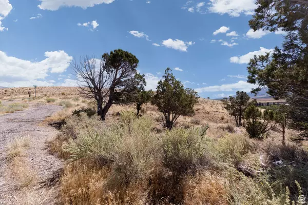 Marysvale, UT 84750,1350 S TIMBERLINE DR