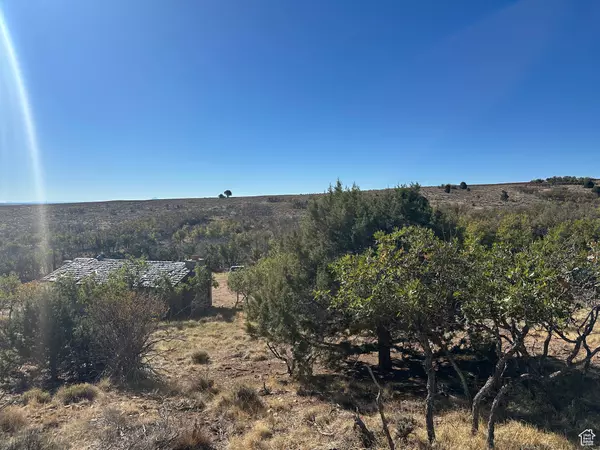 Monticello, UT 84535