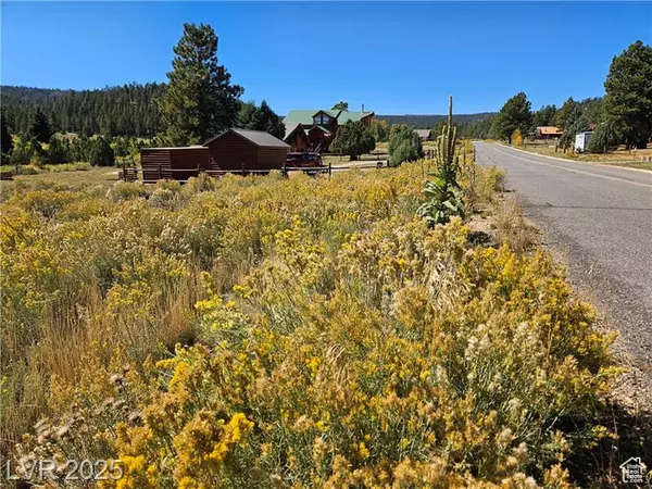 Hatch, UT 84735,776 ASPEN MEADOW DR #9