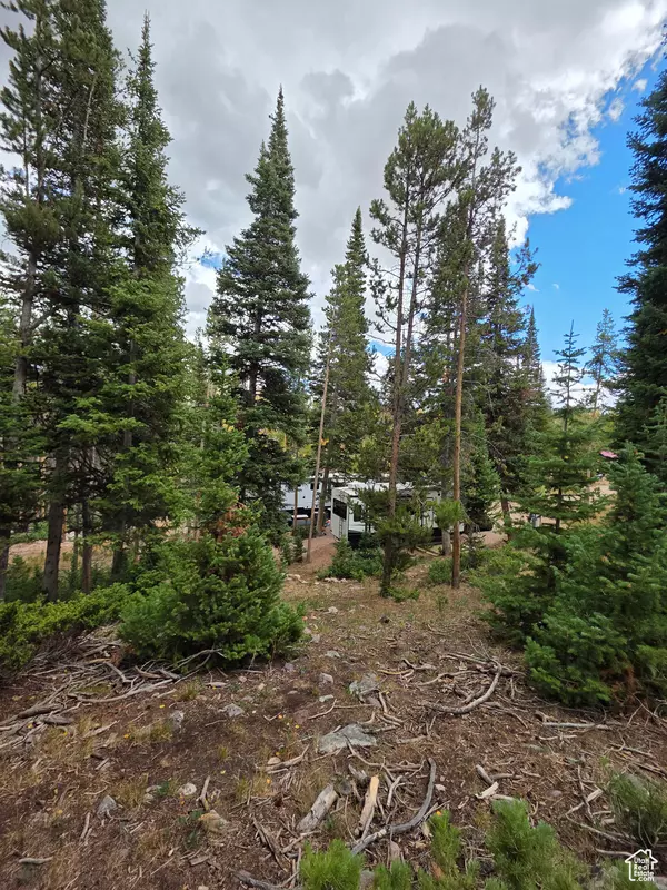 Kamas, UT 84036,4967 ALPINE