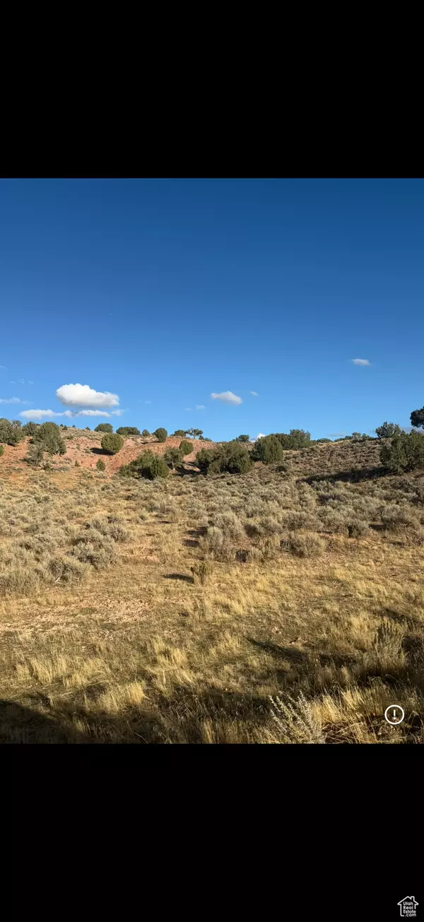 Levan, UT 84639,13051 S RED CANYON RD #3