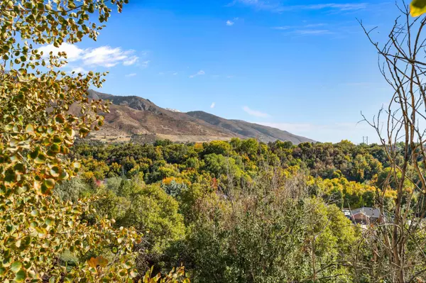 Layton, UT 84040,2338 COUNTRY OAKS DR