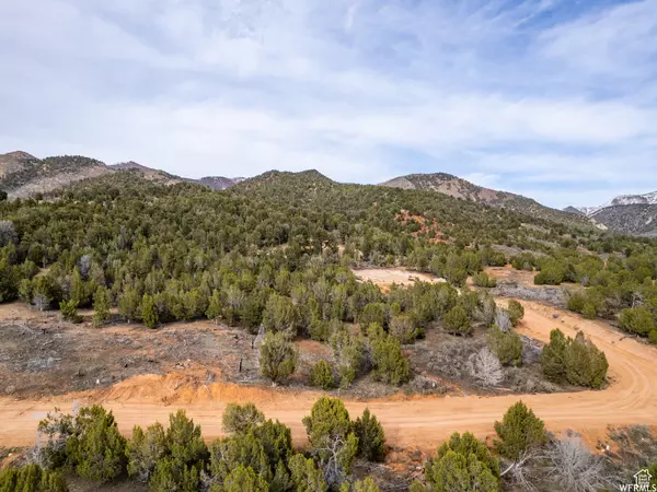 Birdseye, UT 84629,5458 COUGAR RUN #41