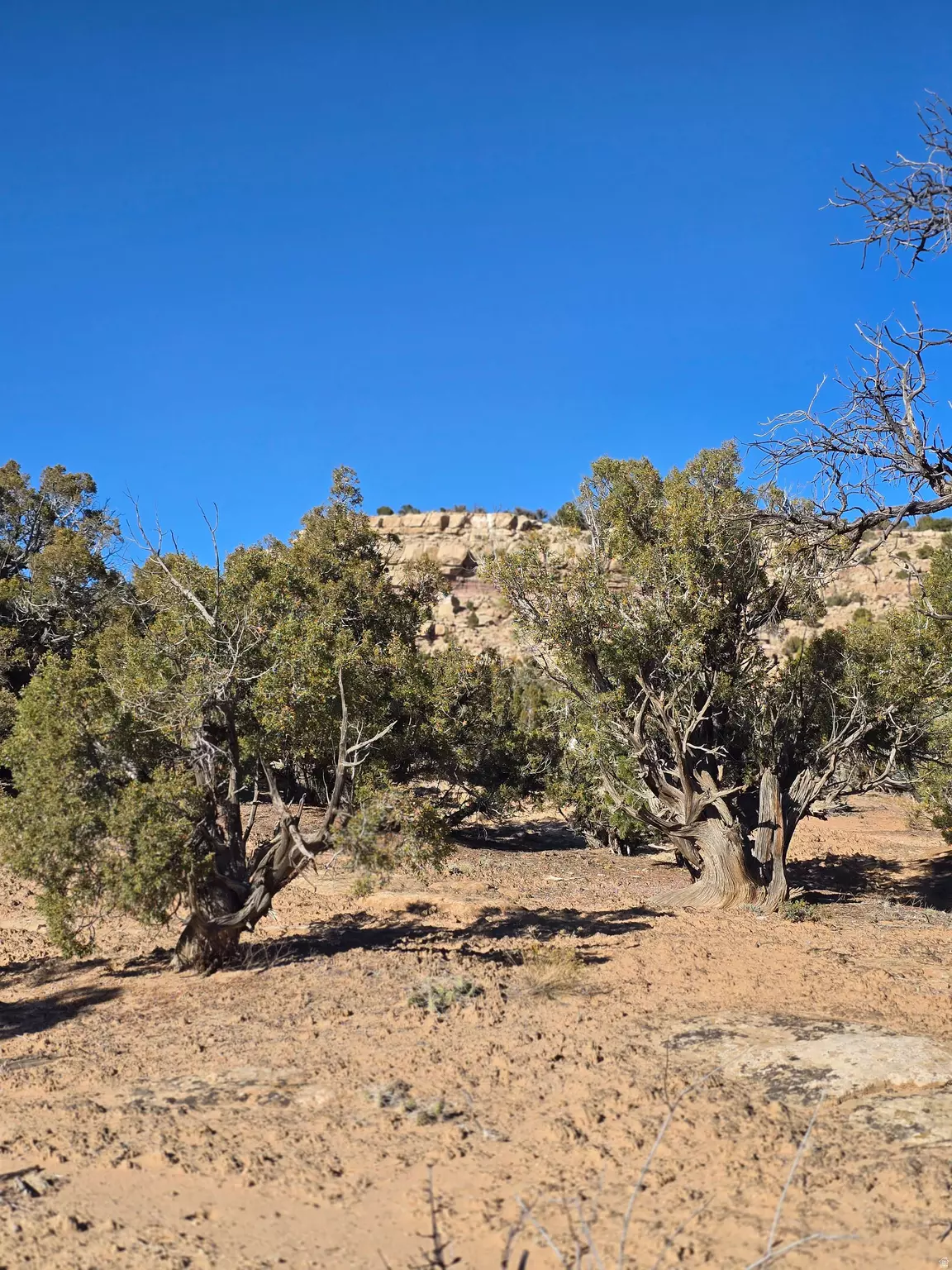 Duchesne, UT 84021,#11-C