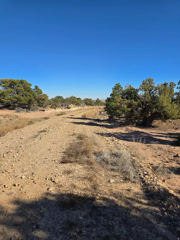 Duchesne, UT 84021,#11-C