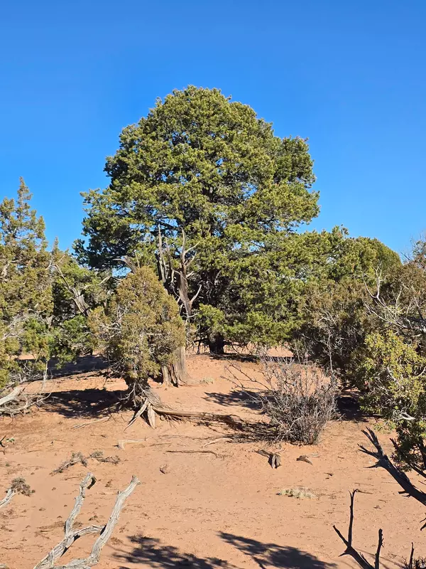 Duchesne, UT 84021,#11-D