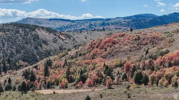 Garden City, UT 84028,1040 N BROAD RD