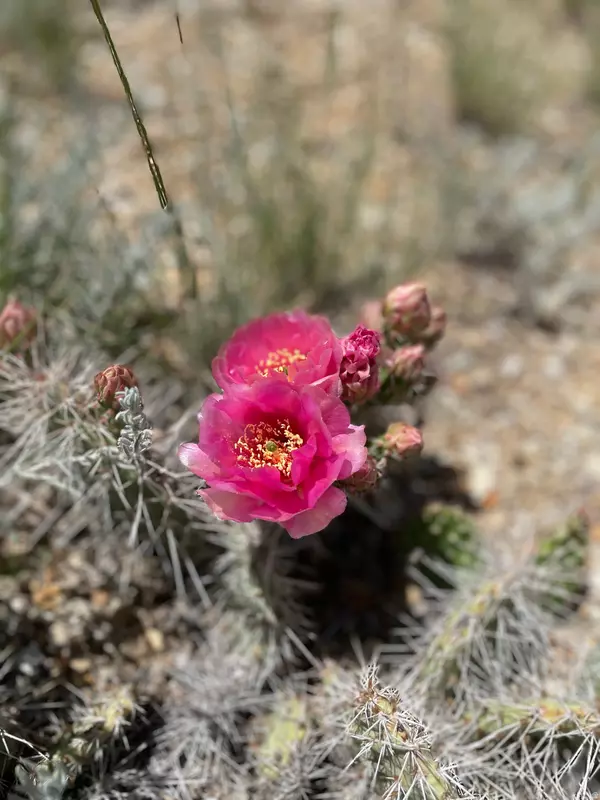 Duchesne, UT 84021,14180 S HIGH MESA LOOP #66